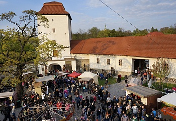 Slezskoostravský hrad