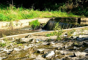 Česká Bříza