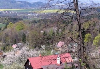 Malenovice