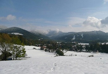Malenovice