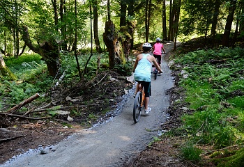 Stezka korunami stromů Lipno