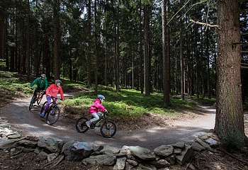 Stezka korunami stromů Lipno