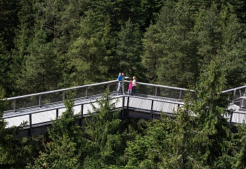 Stezka korunami stromů Lipno