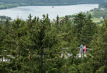 Stezka korunami stromů Lipno