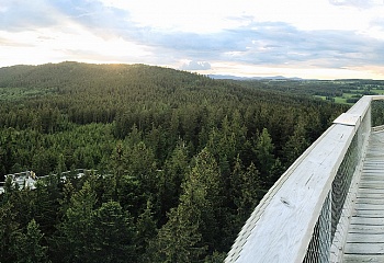 Stezka korunami stromů Lipno