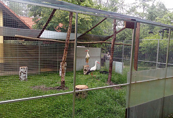 Záchranná stanice AVES Brandýsek - Olšany