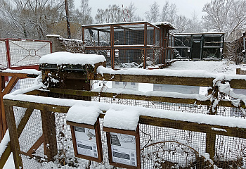 Třeboňská záchranná stanice pro volně žijící živočichy