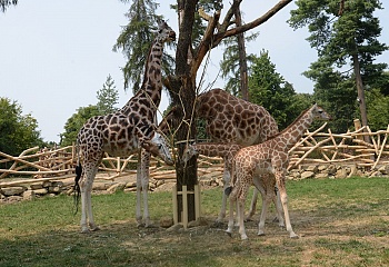 ZOO Olomouc