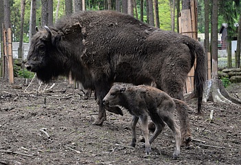 ZOO Olomouc