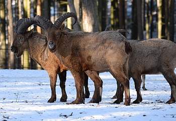 ZOO Olomouc