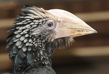 ZOO Olomouc