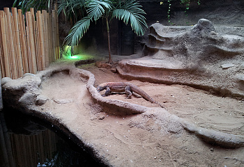 ZOO Praha