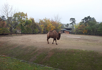 ZOO Praha