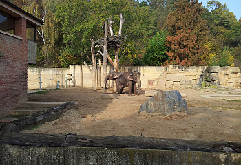 ZOO Praha