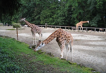 ZOO Zlín