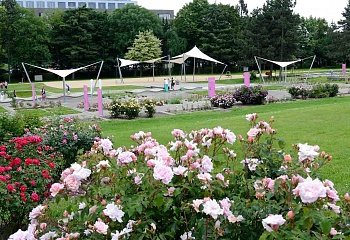 Botanická zahrada Flora Olomouc