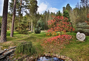 Arboretum Sofronka