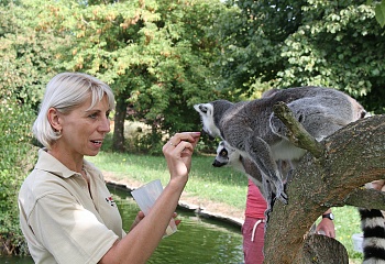 ZOO Dvůr Králové