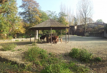 ZOO Dvůr Králové