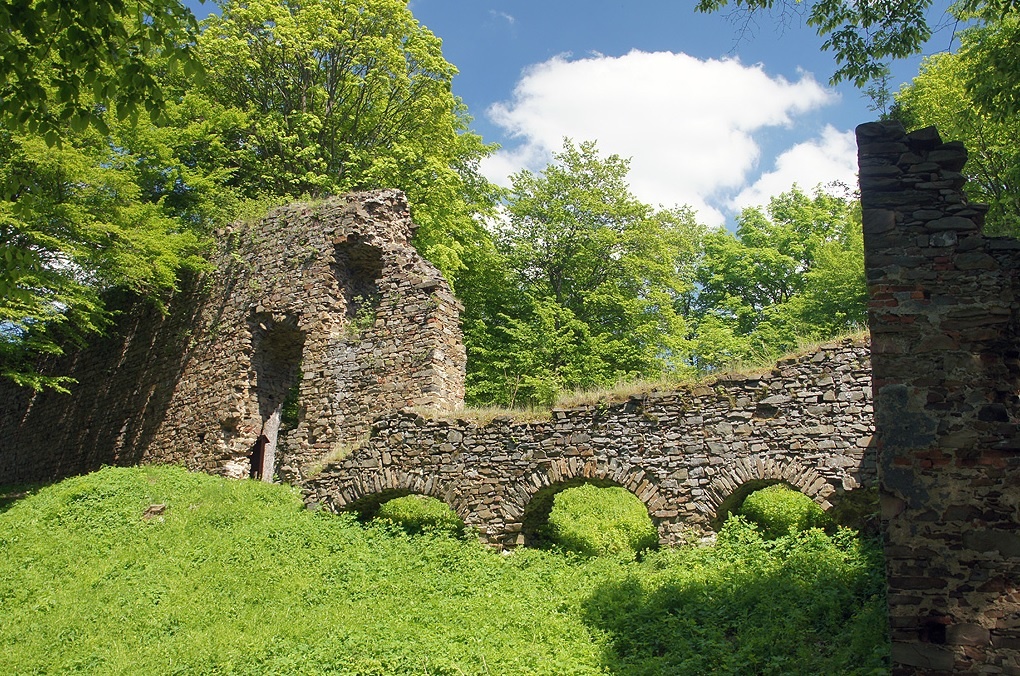 Zřícenina hradu Vikštejn