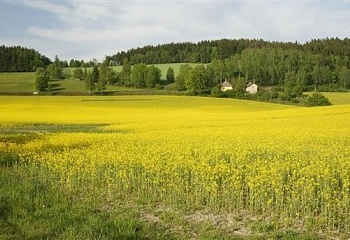 Rtyně v Podkrkonoší