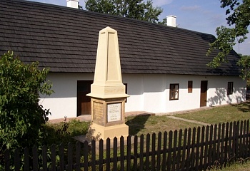 Rybitví