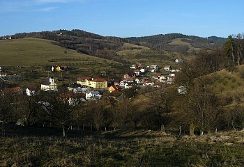 Všemina