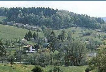 Holenice
