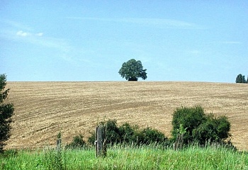 Libošovice