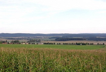Mlázovice
