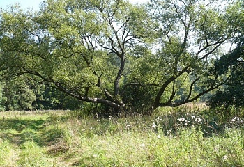 Vratislávka
