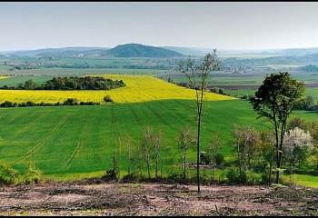 Všechovice