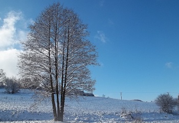 Zlatá Olešnice