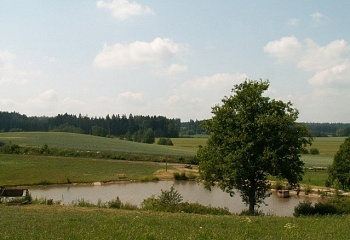 Dolní Branná