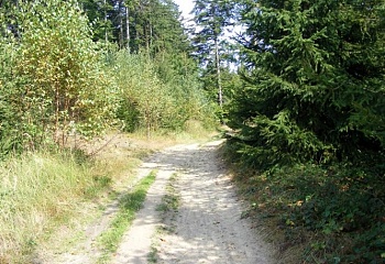 Hošťálková