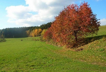 Dolní Kalná