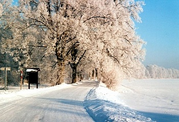 Bernartice nad Odrou