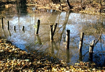 Bernartice nad Odrou