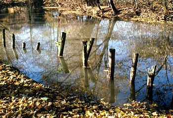 Bernartice nad Odrou