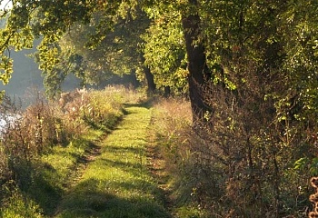 Jeseník nad Odrou