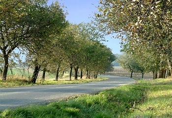 Sedlnice