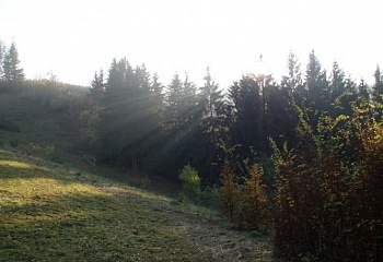 Huslenky