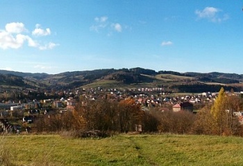 Hovězí