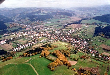 Hovězí