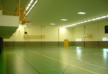 Hostinné
