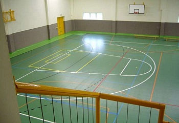 Hostinné