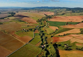 Šonov