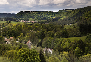Šonov