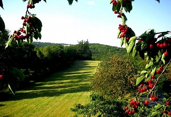 Hrabyně