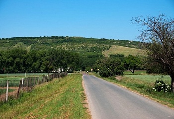 Žabčice